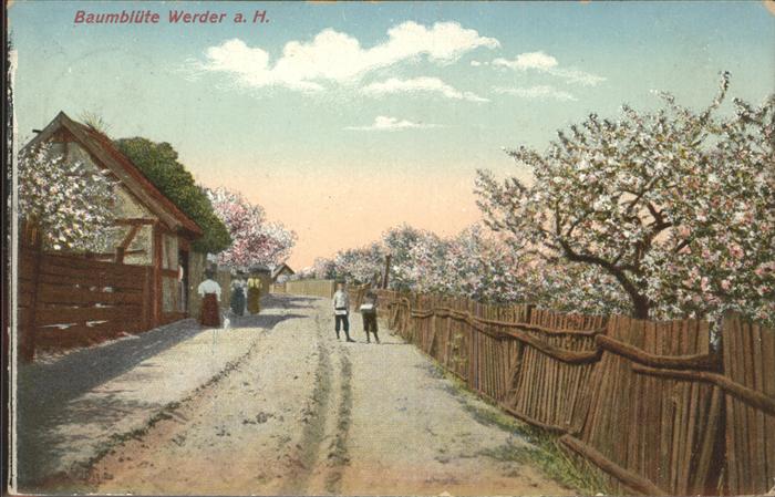 Werder Havel Baumblüten