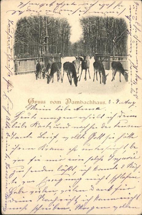 Thale Harz Dambachhaus Rehe