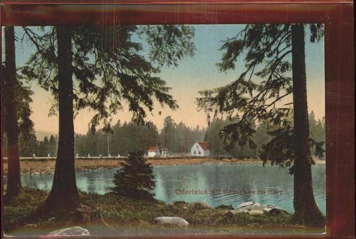 Ilsenburg Harz Oderteich mit Häuschen