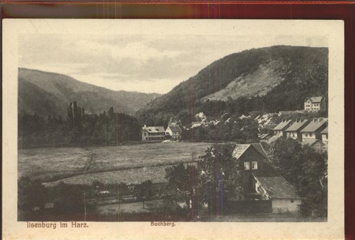 Ilsenburg Harz Buchberg