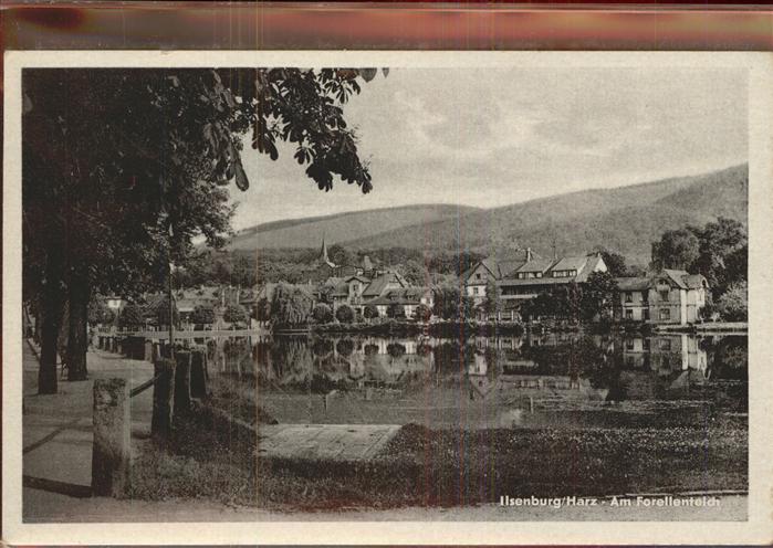 Ilsenburg Harz Partie am Forellenteich