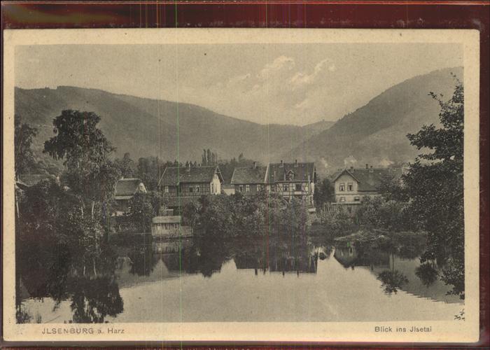 Ilsenburg Harz Panorama Teich