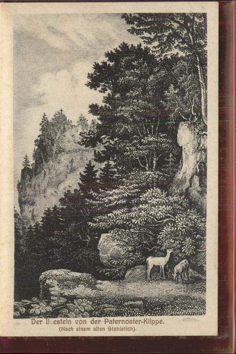 Ilsenburg Harz Der Ilsenstein _ Stahlstich