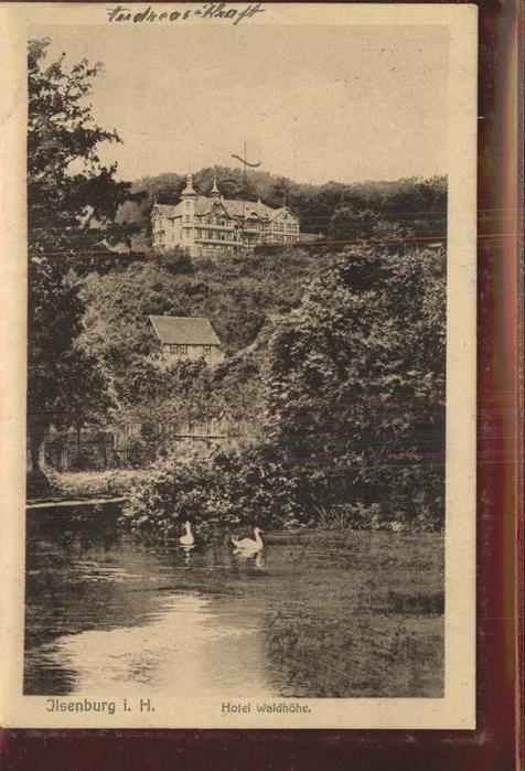Ilsenburg Harz Hotel Waldhöhe Teich