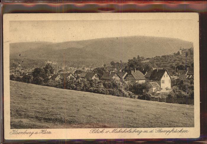 Ilsenburg Harz Blick vom Mahnholzberg