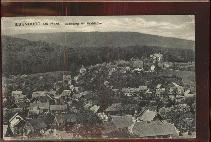 Ilsenburg Harz Panorama mit Buchberg und Waldhoehe