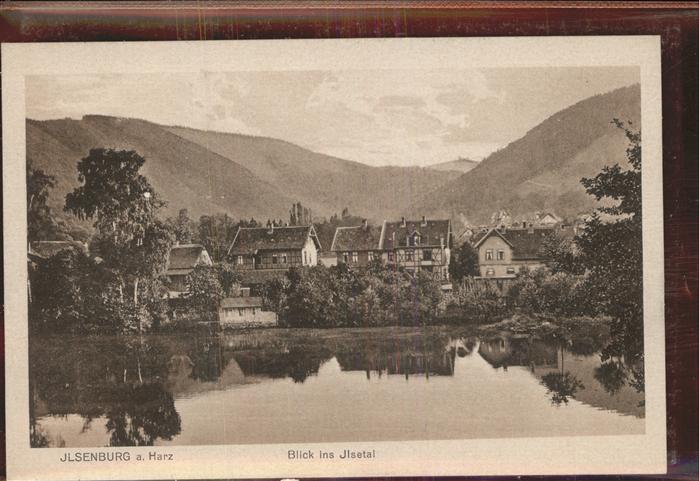 Ilsenburg Harz Blick ins Ilsetal