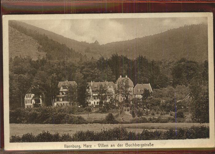 Ilsenburg Harz Villen an der Buchbergstrasse