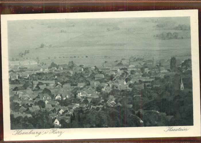 Ilsenburg Harz Totalansicht