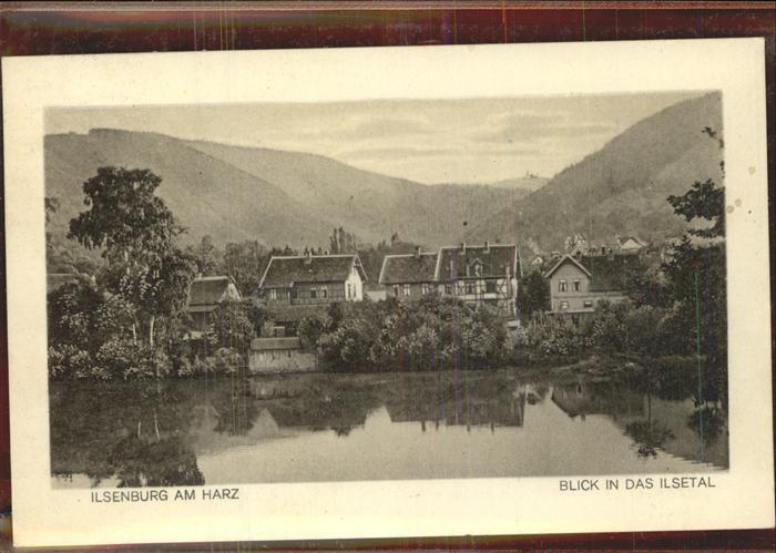 Ilsenburg Harz Blick ins Ilsetal