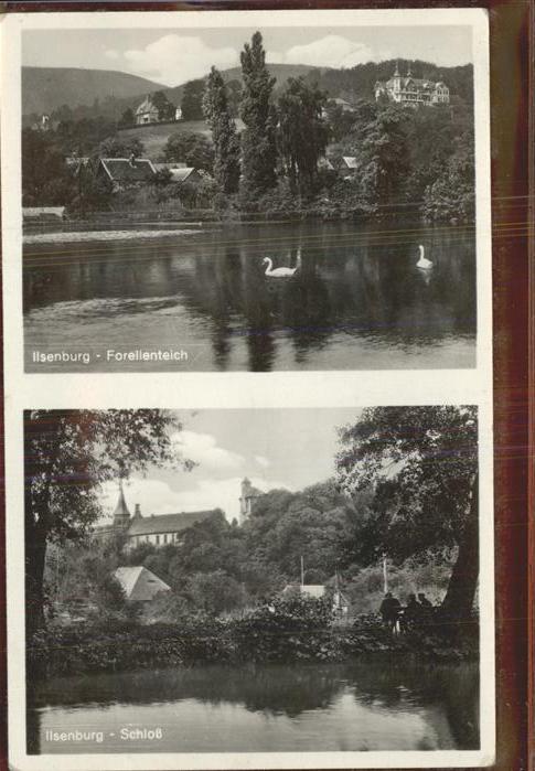 Ilsenburg Harz Am Forellenteich Schloss