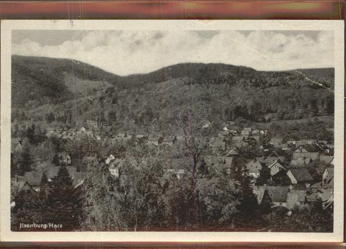 Ilsenburg Harz Panorama