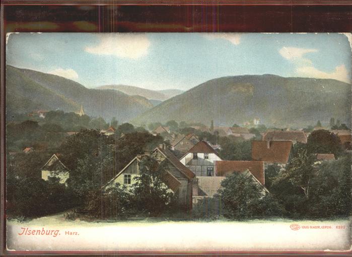 Ilsenburg Harz Panorama
