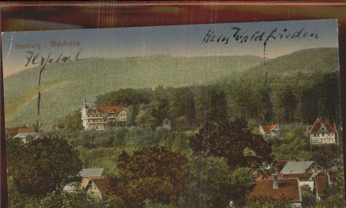 Ilsenburg Harz Hotel Waldhoehe