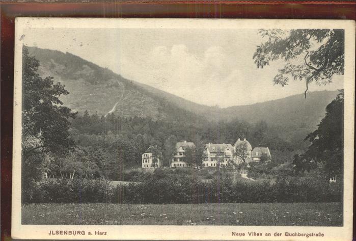 Ilsenburg Harz Neue Villen an der Buchbergstrasse