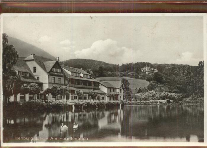 Ilsenburg Harz Am Forellenteich
