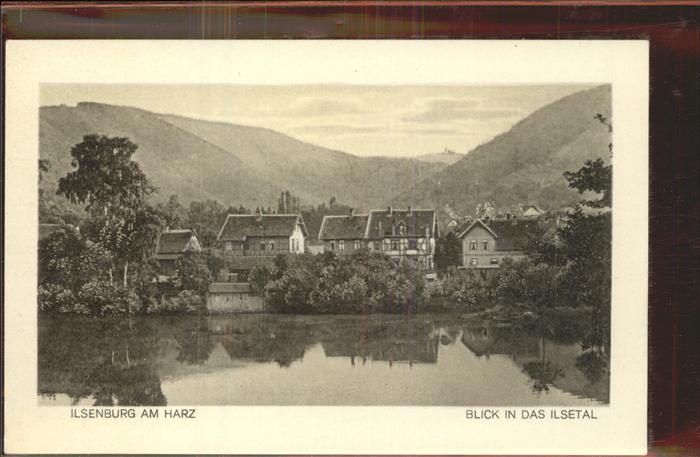 Ilsenburg Harz Blick ins Ilsetal