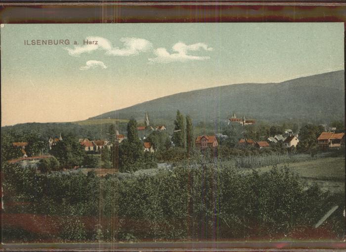 Ilsenburg Harz Panorama