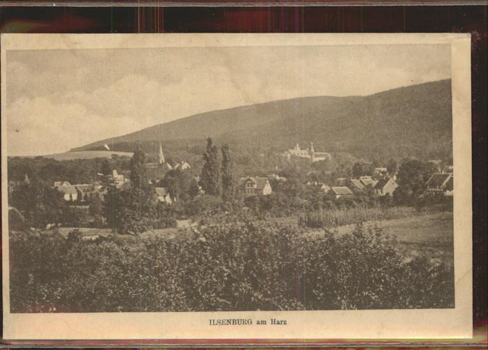 Ilsenburg Harz Panorama