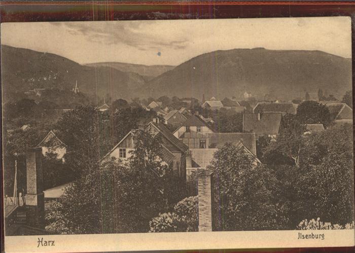 Ilsenburg Harz Panorama