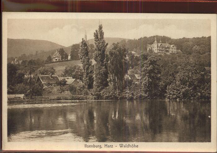 Ilsenburg Harz Hotel Waldhöhe Teich
