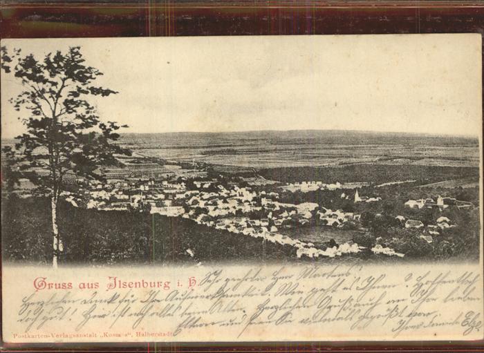 Ilsenburg Harz Panorama