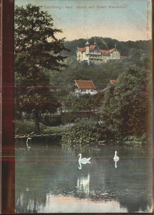 Ilsenburg Harz Hotel Waldhoehe Teich