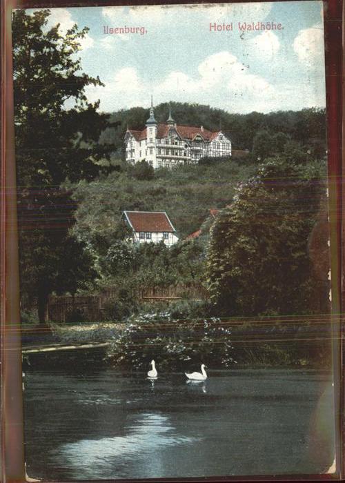Ilsenburg Harz Hotel Waldhöhe Teich