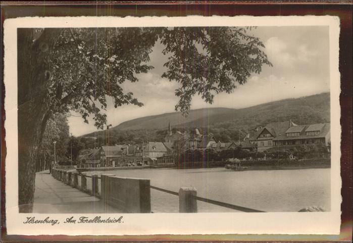 Ilsenburg Harz Forellenteich mit Stadtblick