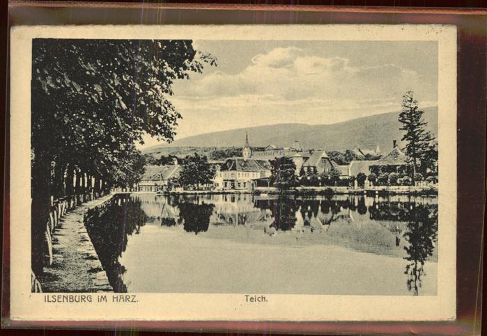 Ilsenburg Harz Teich mit Stadtblick