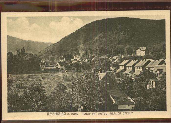 Ilsenburg Harz Stadtblick mit Hotel Blauer Stein