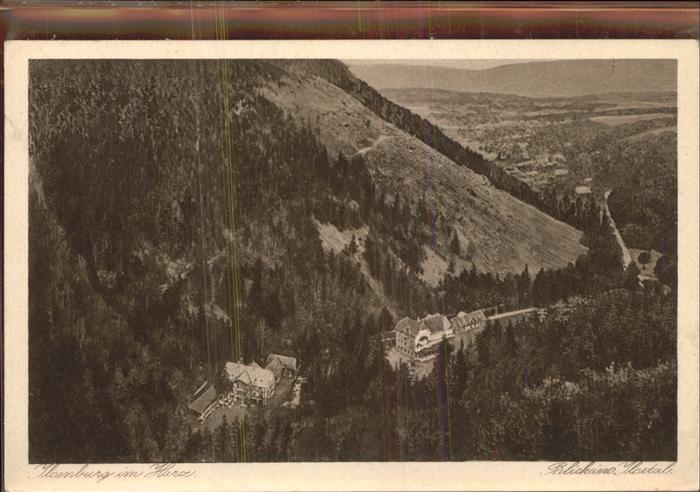 Ilsenburg Harz Blick ins Ilsetal