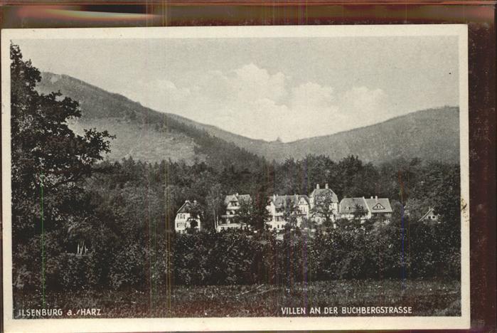 Ilsenburg Harz Villen an der Buchbergstrasse