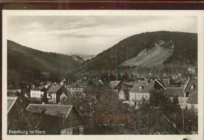 Ilsenburg Harz Panorama
