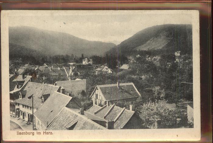 Ilsenburg Harz Panorama