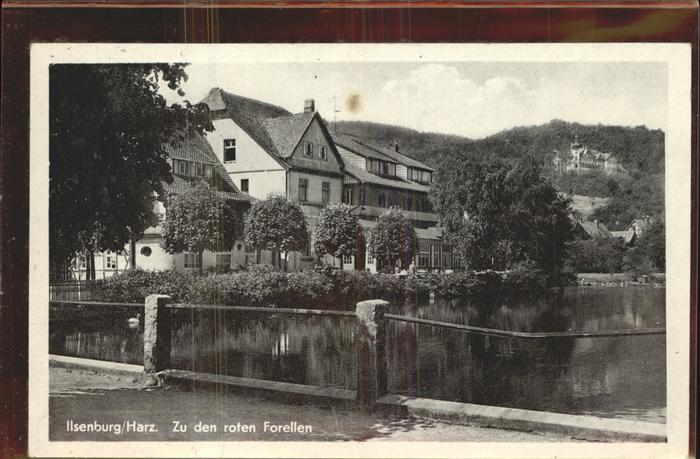 Ilsenburg Harz Hotel zu den roten Forellen