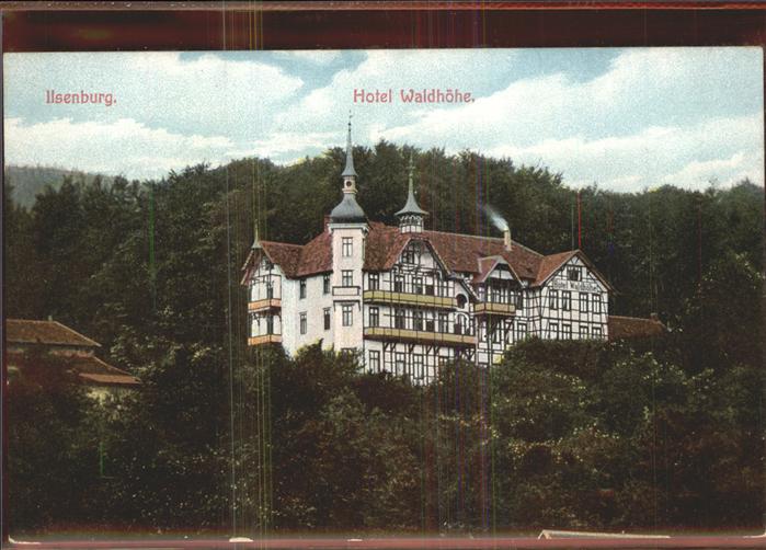 Ilsenburg Harz Hotel Waldhöhe