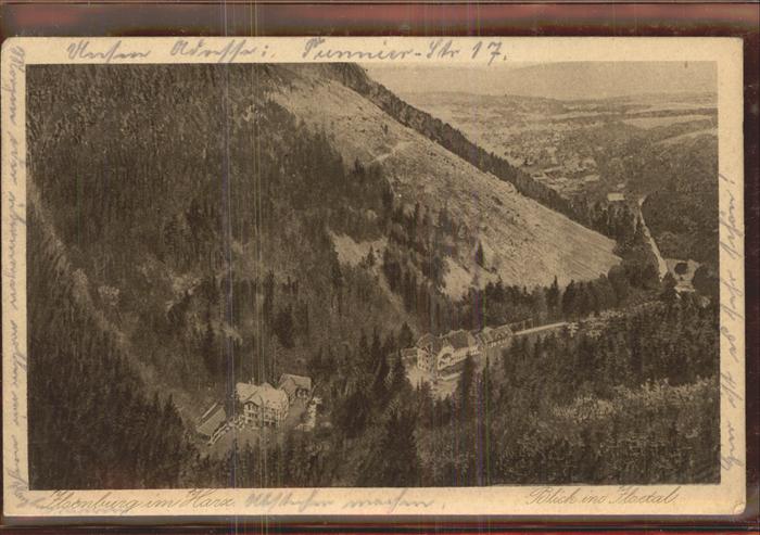 Ilsenburg Harz Blick ins Ilsetal