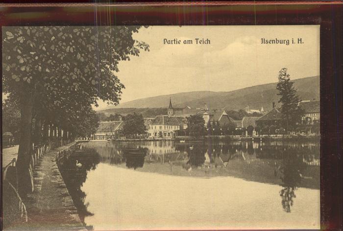 Ilsenburg Harz Teich mit Stadtblick