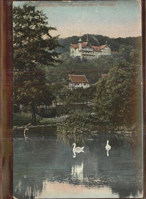 Ilsenburg Harz Hotel Waldhöhe