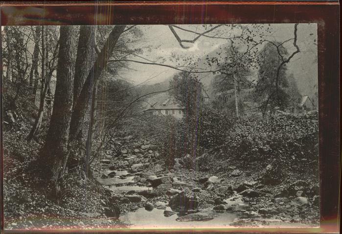 Ilsenburg Harz Am Kinderspielplatz im Ilsetal