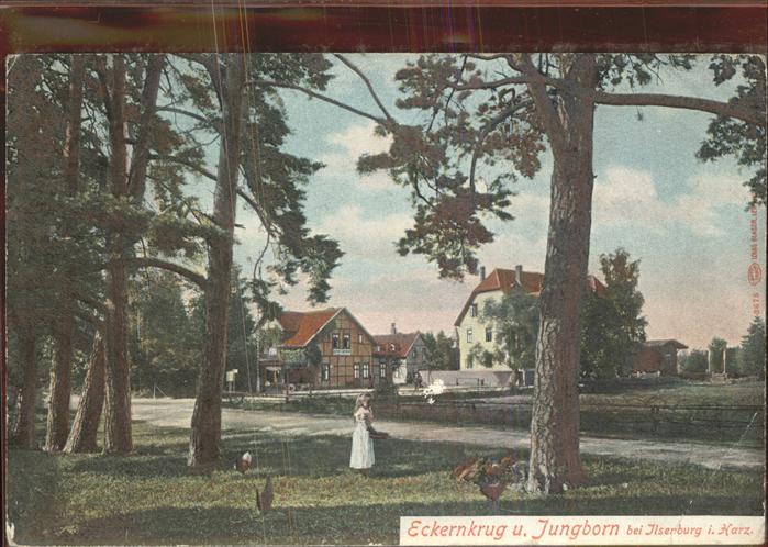 Ilsenburg Harz Eckernkrug und Jungborn