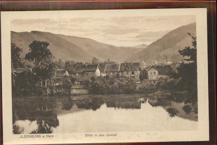Ilsenburg Harz Panorama