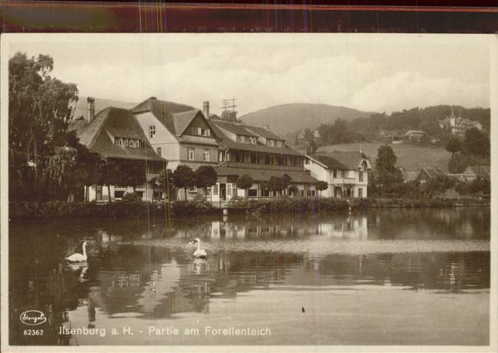 Ilsenburg Harz Hotel Zu den roten Forellen am Forellen