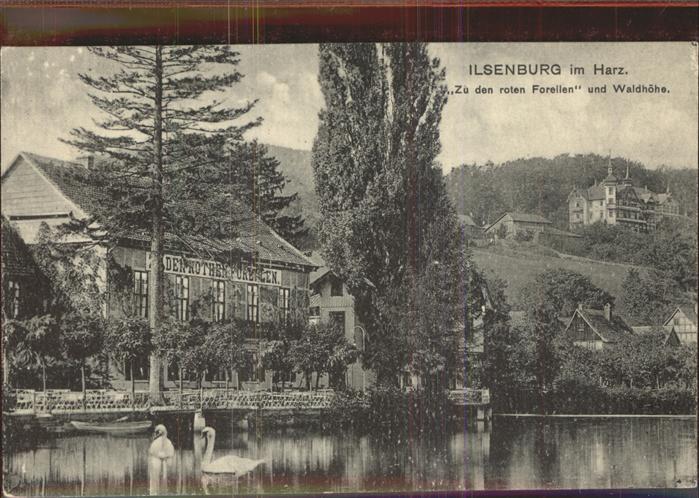 Ilsenburg Harz Hotel zu den roten Forellen und Waldhoehe