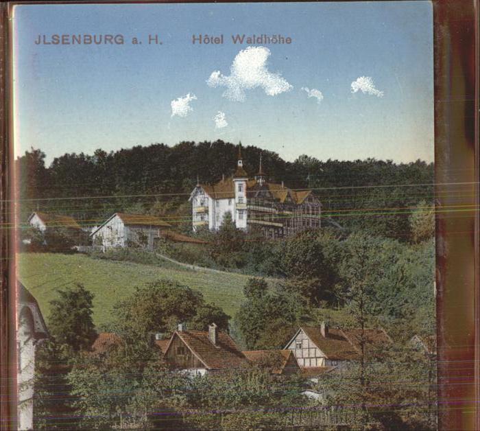 Ilsenburg Harz Hotel Waldhoehe