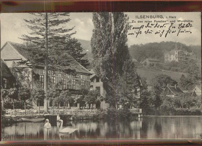 Ilsenburg Harz Hotel Zu den roten Forellen und Waldhoehe
