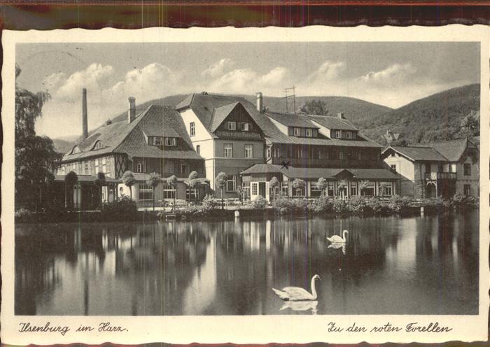 Ilsenburg Harz Hotel zu den roten Forellen