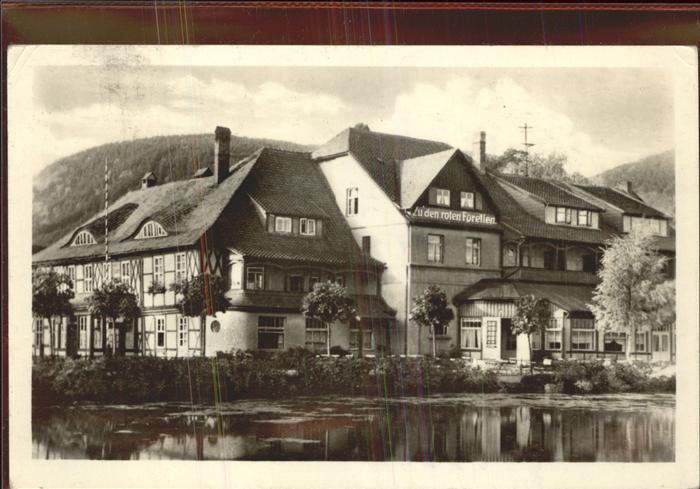 Ilsenburg Harz Hotel Zu den roten Forellen
