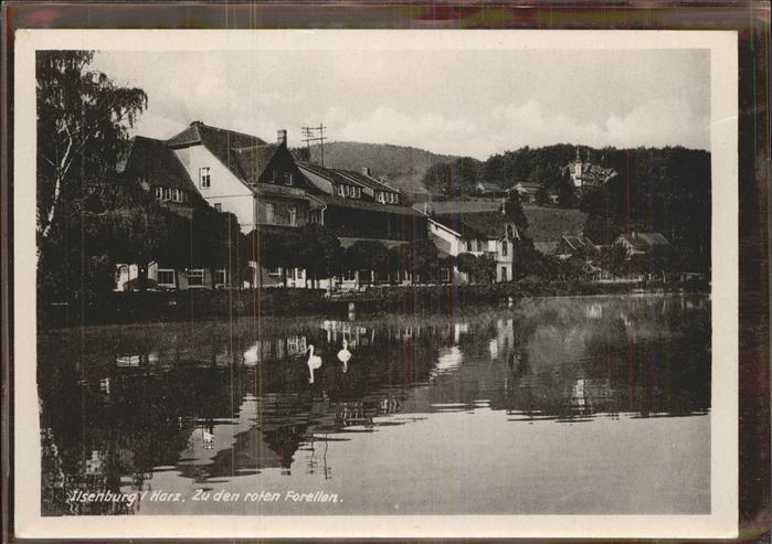 Ilsenburg Harz Hotel zu den roten Forellen